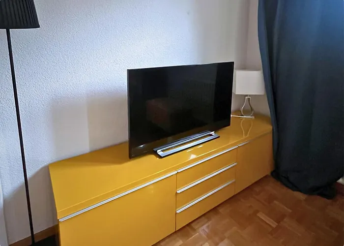 Hsh Elegant Vaudois * Lozanna