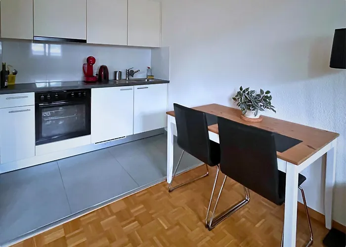 Hsh Elegant Vaudois Apartmán Лозана